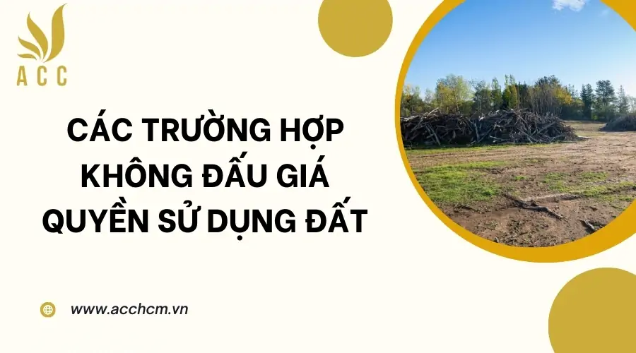 Các trường hợp không đấu giá quyền sử dụng đấtCác trường hợp không đấu giá quyền sử dụng đất