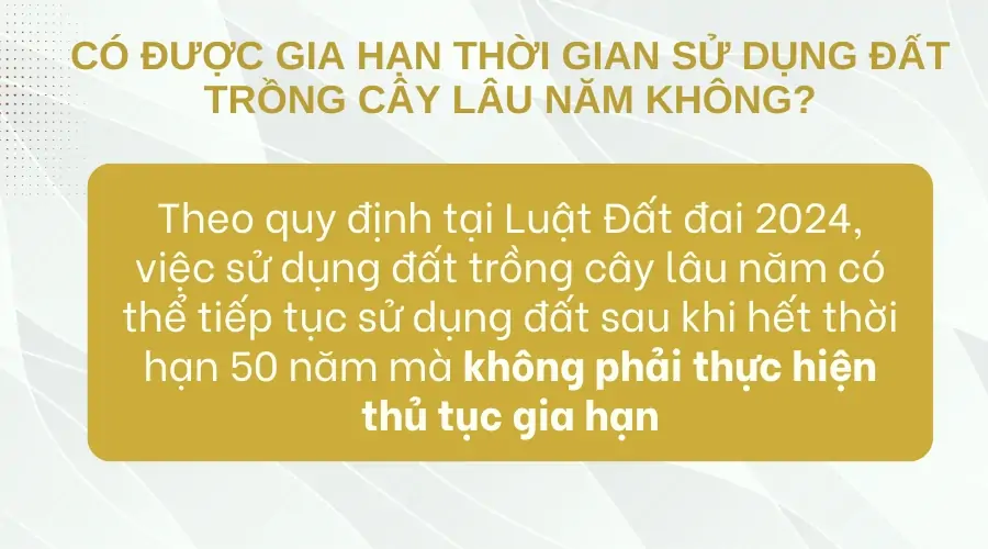 Có được gia hạn thời gian sử dụng đất trồng cây lâu năm không