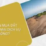 Có nên mua đất thương mại dịch vụ_ không