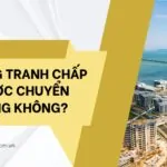 Đất đang tranh chấp có được chuyển nhượng không