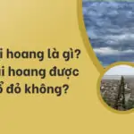 Đất khai hoang là gì_ Đất khai hoang được cấp sổ đỏ không