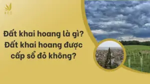 Đất khai hoang là gì_ Đất khai hoang được cấp sổ đỏ không