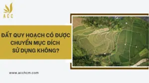 Đất quy hoạch có được chuyển mục đích sử dụng không?