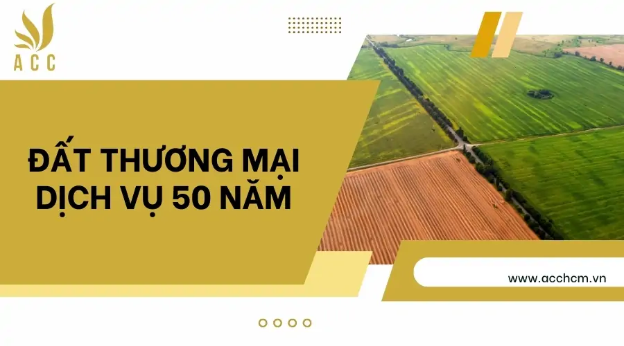 Đất thương mại dịch vụ 50 năm