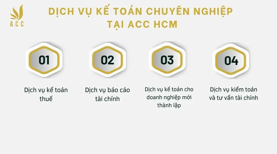 Dịch vụ kế toán chuyên nghiệp tại ACC HCM