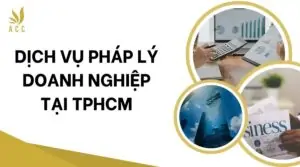 Dịch vụ pháp lý doanh nghiệp tại TPHCM