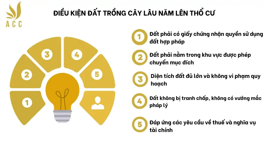 Điều kiện đất trồng cây lâu năm lên thổ cư