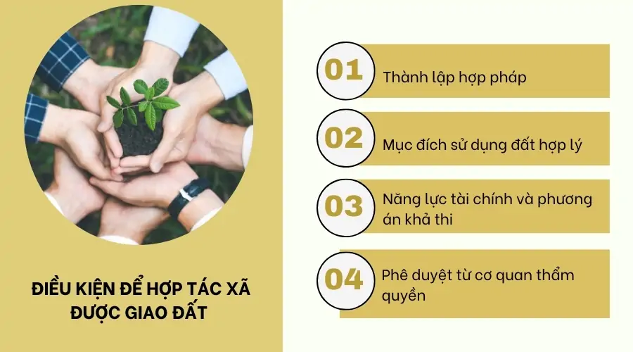 Điều kiện để hợp tác xã được giao đất