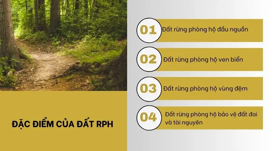 Đặc điểm của đất RPH