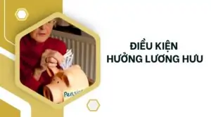 Điều kiện hưởng lương hưu