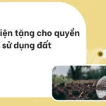 Điều kiện tặng cho quyền sử dụng đất