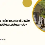 Đóng bảo hiểm bao nhiêu năm được hưởng lương hưu