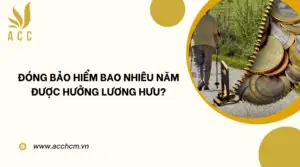 Đóng bảo hiểm bao nhiêu năm được hưởng lương hưu