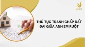 Thủ tục tranh chấp đất đai giữa anh em ruột