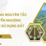 Hợp đồng nguyên tắc chuyển nhượng quyền sử dụng đất