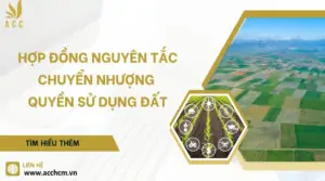 Hợp đồng nguyên tắc chuyển nhượng quyền sử dụng đất