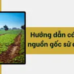 Hướng dẫn cách xem nguồn gốc sử dụng đất