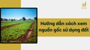 Hướng dẫn cách xem nguồn gốc sử dụng đất