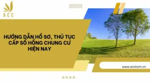 Hướng dẫn hồ sơ, thủ tục cấp sổ hồng chung cư hiện nay