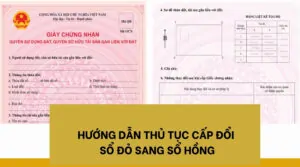 Hướng dẫn thủ tục cấp đổi sổ đỏ sang sổ hồng