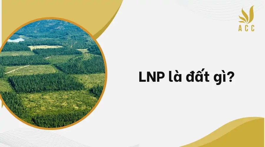 LNP là đất gì