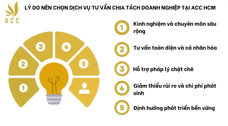 Lý do nên chọn dịch vụ tư vấn chia tách doanh nghiệp tại ACC HCM