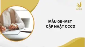 Mẫu 08-MST cập nhật CCCD