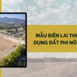 Mẫu biên lai thu thuế sử dụng đất phi nông nghiệp