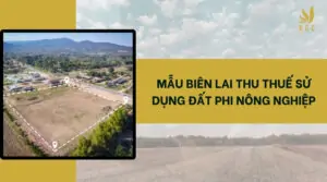 Mẫu biên lai thu thuế sử dụng đất phi nông nghiệp