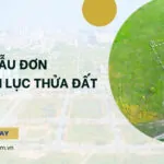 Mẫu đơn xin trích lục thửa đất