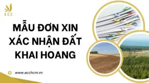 Mẫu đơn xin xác nhận đất khai hoang_