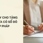 Mẫu giấy cho tặng đất chưa có sổ đỏ hợp pháp