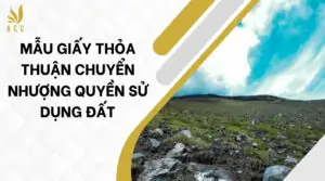 Mẫu giấy thỏa thuận chuyển nhượng quyền sử dụng đất