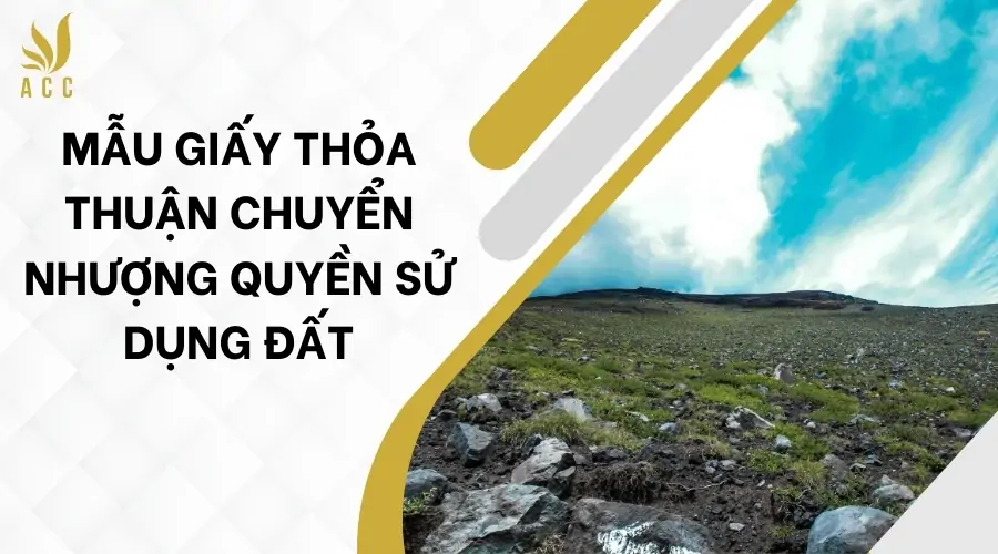 Mẫu giấy thỏa thuận chuyển nhượng quyền sử dụng đất