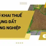 Mẫu tờ khai thuế sử dụng đất phi nông nghiệp