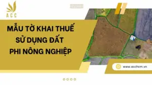 Mẫu tờ khai thuế sử dụng đất phi nông nghiệp