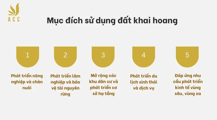 Mục đích sử dụng đất khai hoang