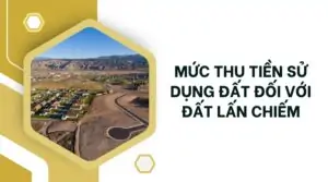 Mức thu tiền sử dụng đất đối với đất lấn chiếm