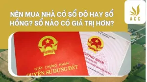 Nên mua nhà có sổ đỏ hay sổ hồng Sổ nào có giá trị hơn