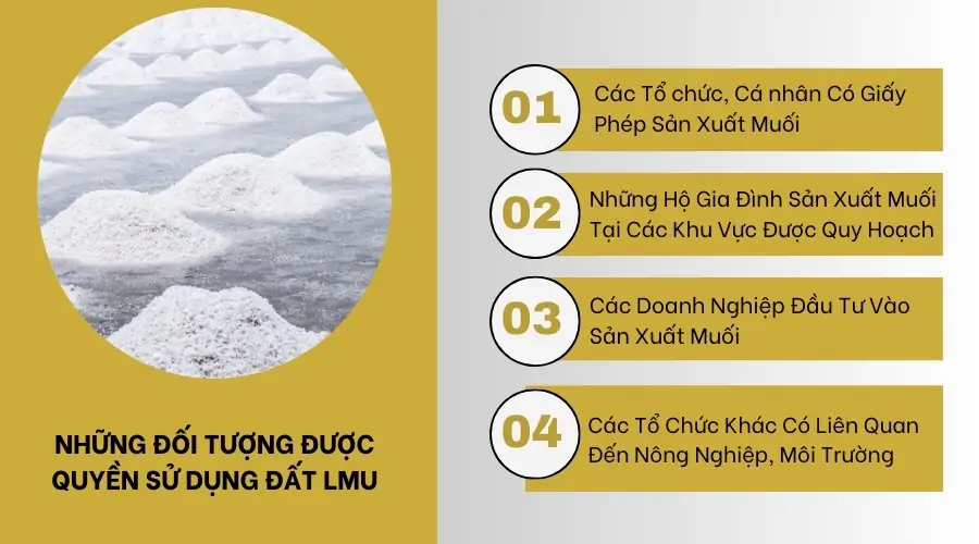 Những đối tượng được quyền sử dụng đất LMU