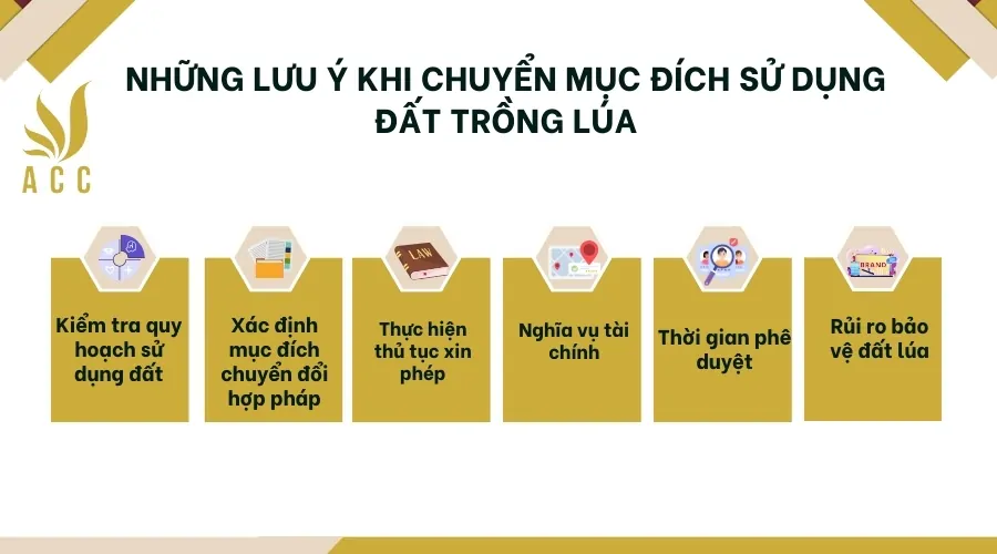 Những lưu ý khi chuyển mục đích sử dụng đất trồng lúa