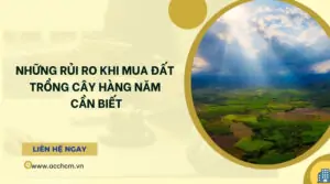 Những rủi ro khi mua đất trồng cây hàng năm_ cần biết