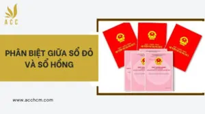 Phân biệt giữa sổ đỏ và sổ hồng