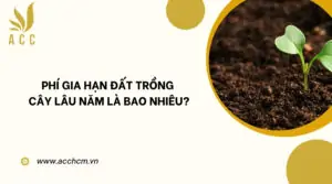 Phí gia hạn đất trồng cây lâu năm là bao nhiêu