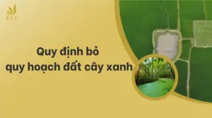 Quy định bỏ quy hoạch đất cây xanh