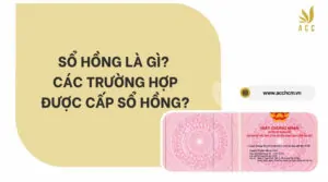 Sổ hồng là gì? Các trường hợp được cấp sổ hồng?