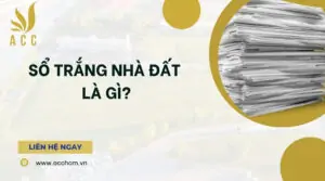 Sổ trắng nhà đất là gì_