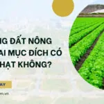 Sử dụng đất nông nghiệp sai mục đích có bị xử phạt không