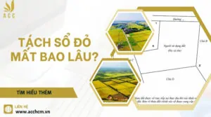 Tách sổ đỏ mất bao lâu?