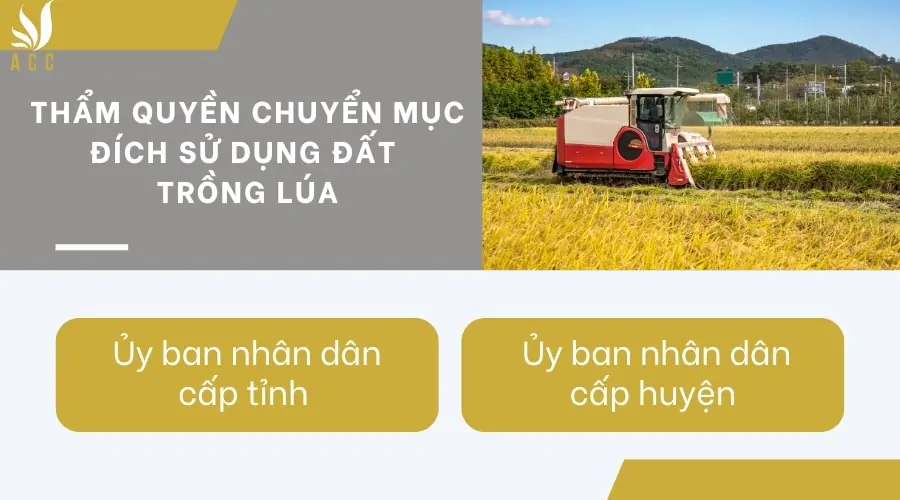 Thẩm quyền chuyển mục đích sử dụng đất trồng lúa